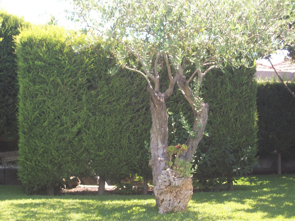 Etma Bed & Breakfast SantʼAlfio Dış mekan fotoğraf